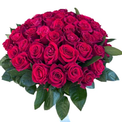 Roses