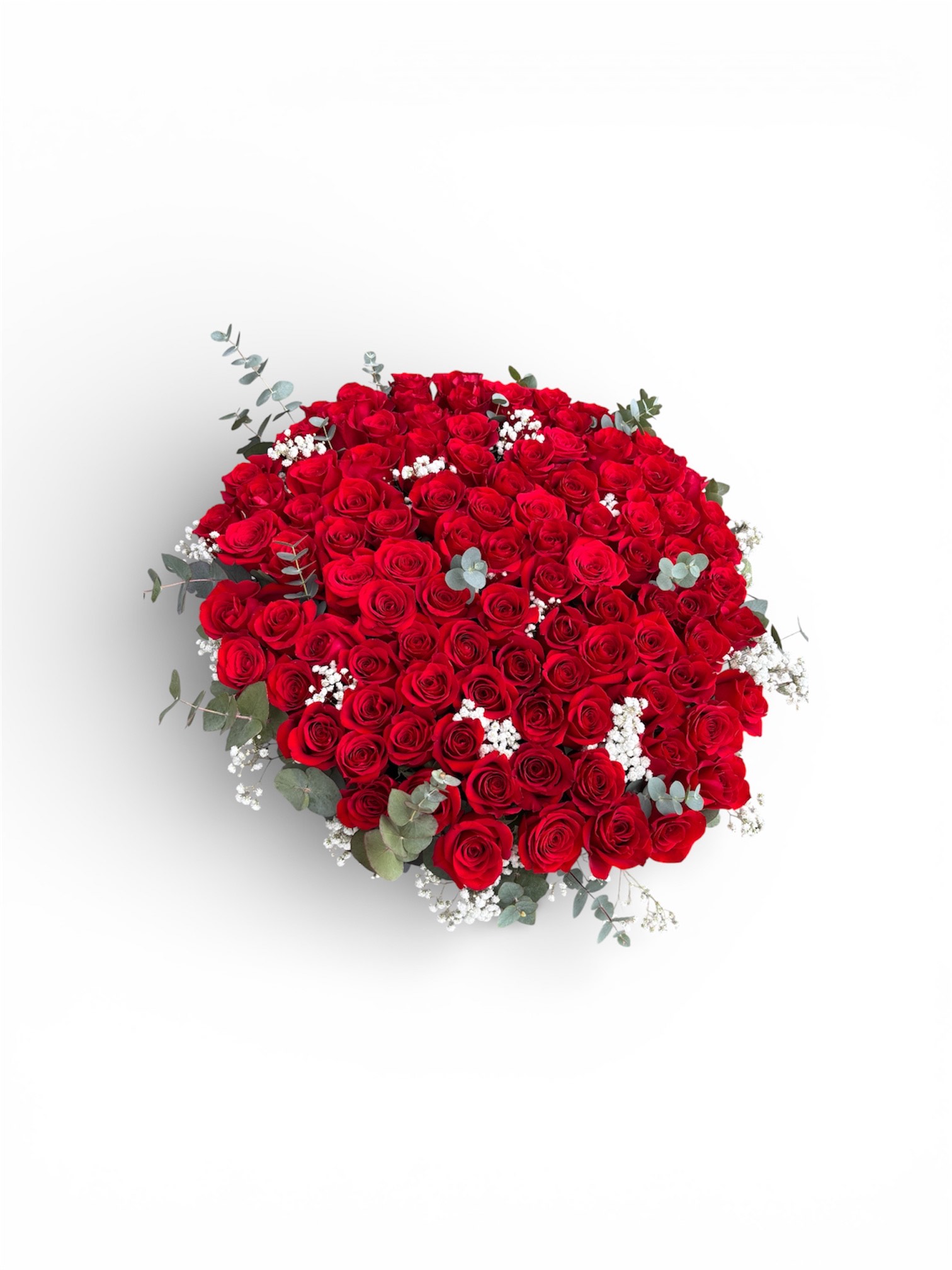101 ruža (101 roses)